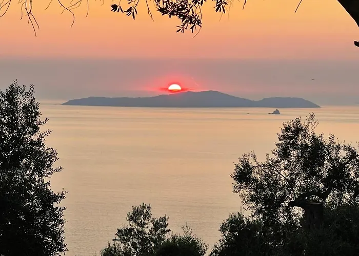 Willa Arillas Hillside 3 - Provence