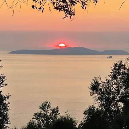 Vila Arillas Hillside 3 - Provence
